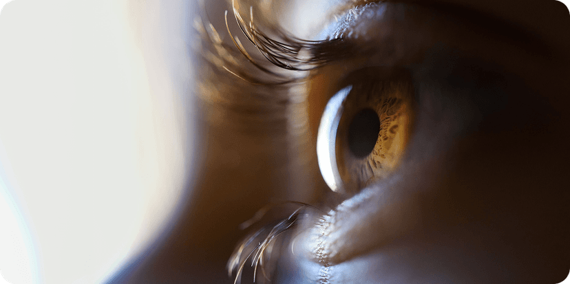 Close view of an eye for retina care